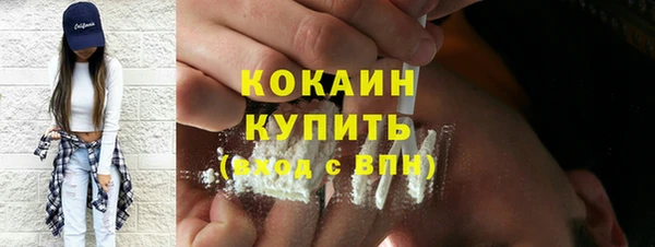 дмт Каменка