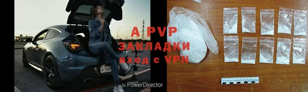 кокс Касимов