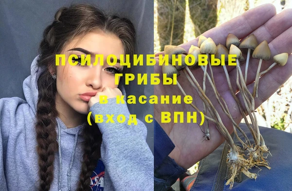 ешки Киреевск